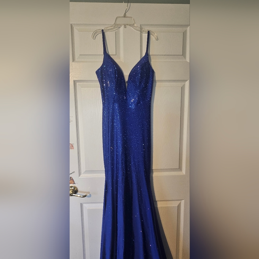 Stunning Blue Sequin Gown
